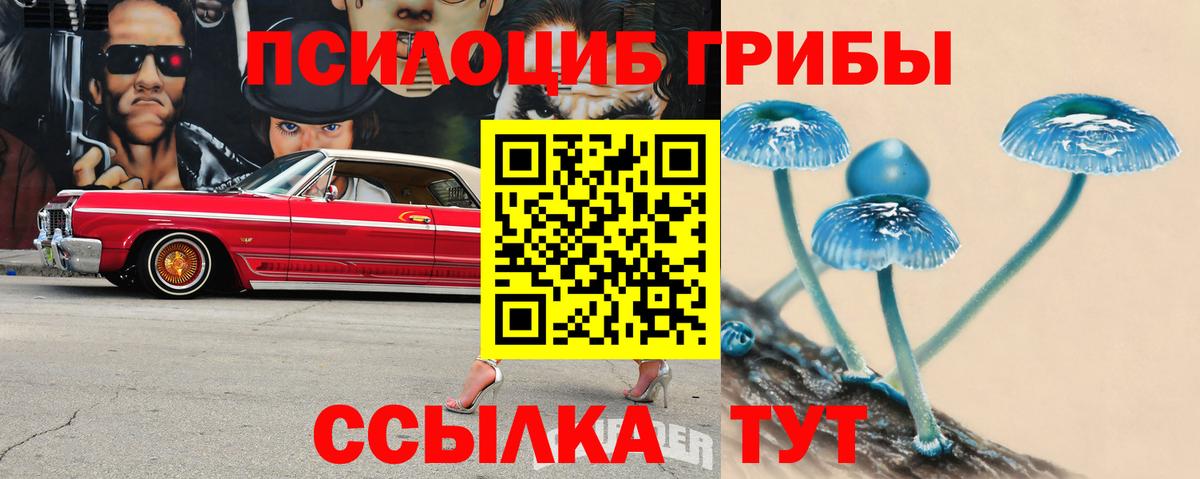 Галлюциногенные грибы MAGIC MUSHROOMS Ступино