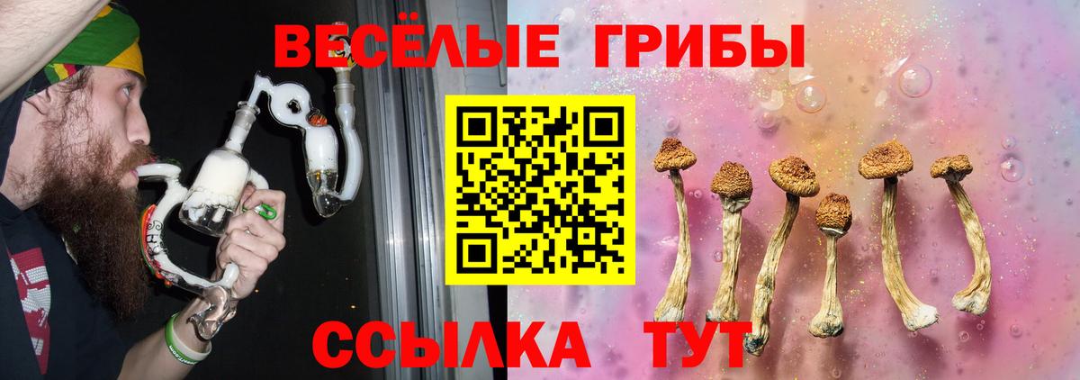 Псилоцибиновые грибы ЛСД  Вход с VPN  Ступино  Псилоцибиновые грибы Magic Shrooms 